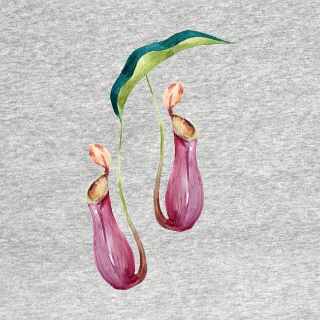 Carnivorous Plant Lady Daddy Nepenhtes x Ventrata Pitcher Plant Gift by Venus Fly Trap Shirts